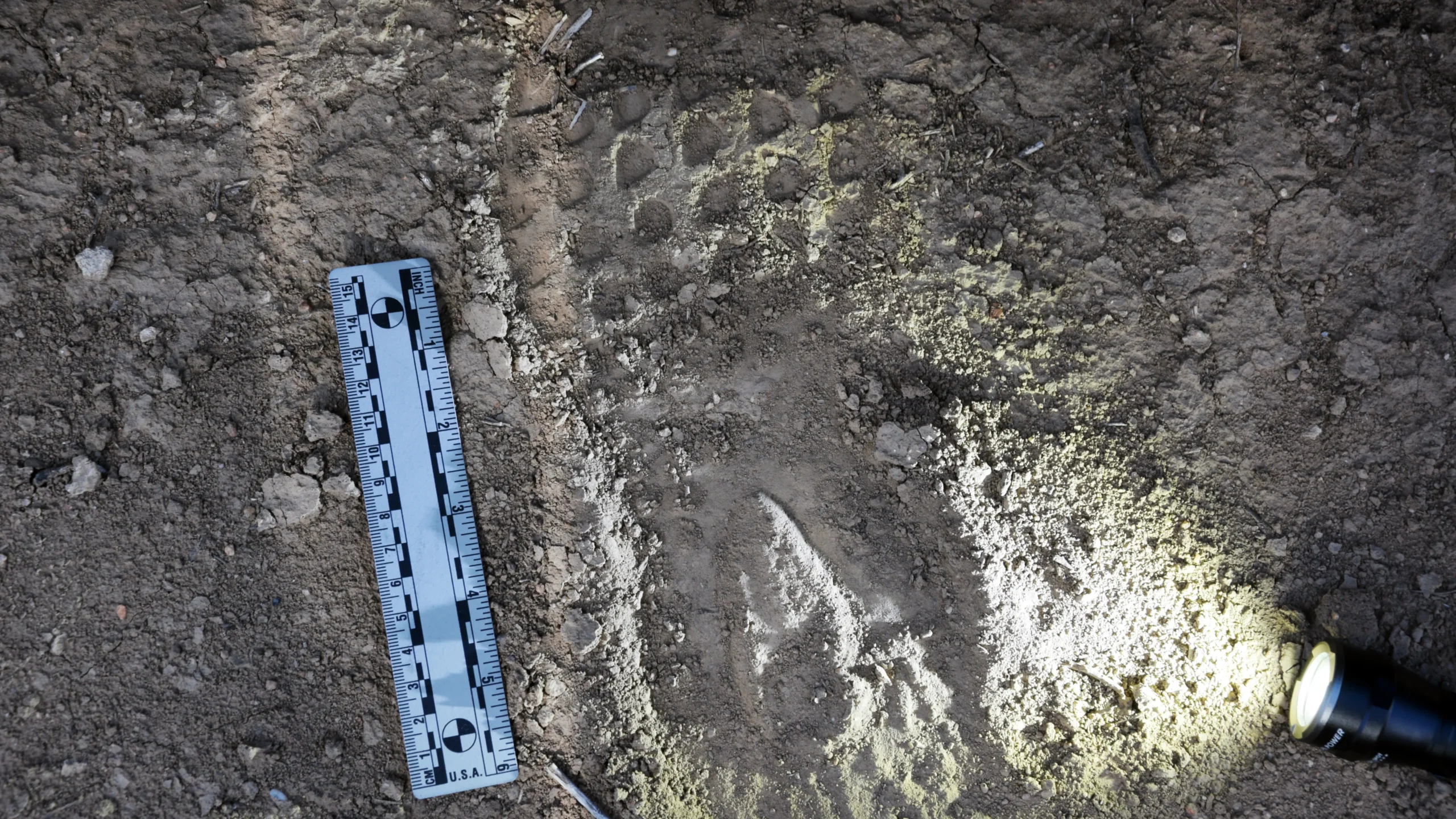 Footwear Impression | RTI's Crime Scene Photography Course